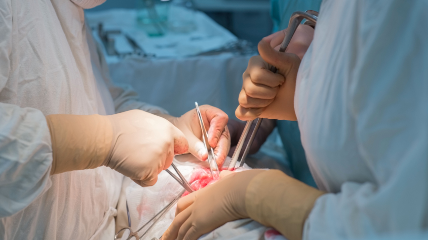 Förslag: Alla över 18 ska automatiskt donera organ